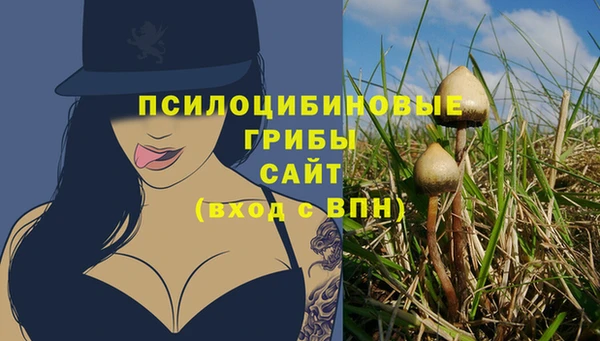 ПСИЛОЦИБИНОВЫЕ ГРИБЫ Зеленокумск