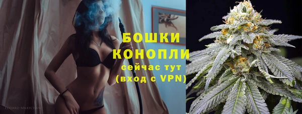 ПСИЛОЦИБИНОВЫЕ ГРИБЫ Зеленокумск