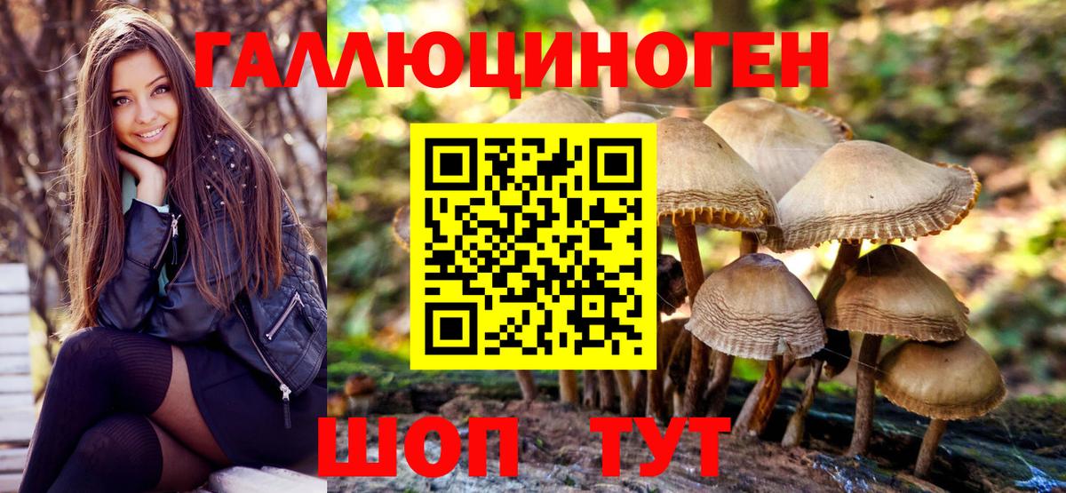 Карасук  купить  цена  Вход с VPN  Галлюциногенные грибы Psilocybe 